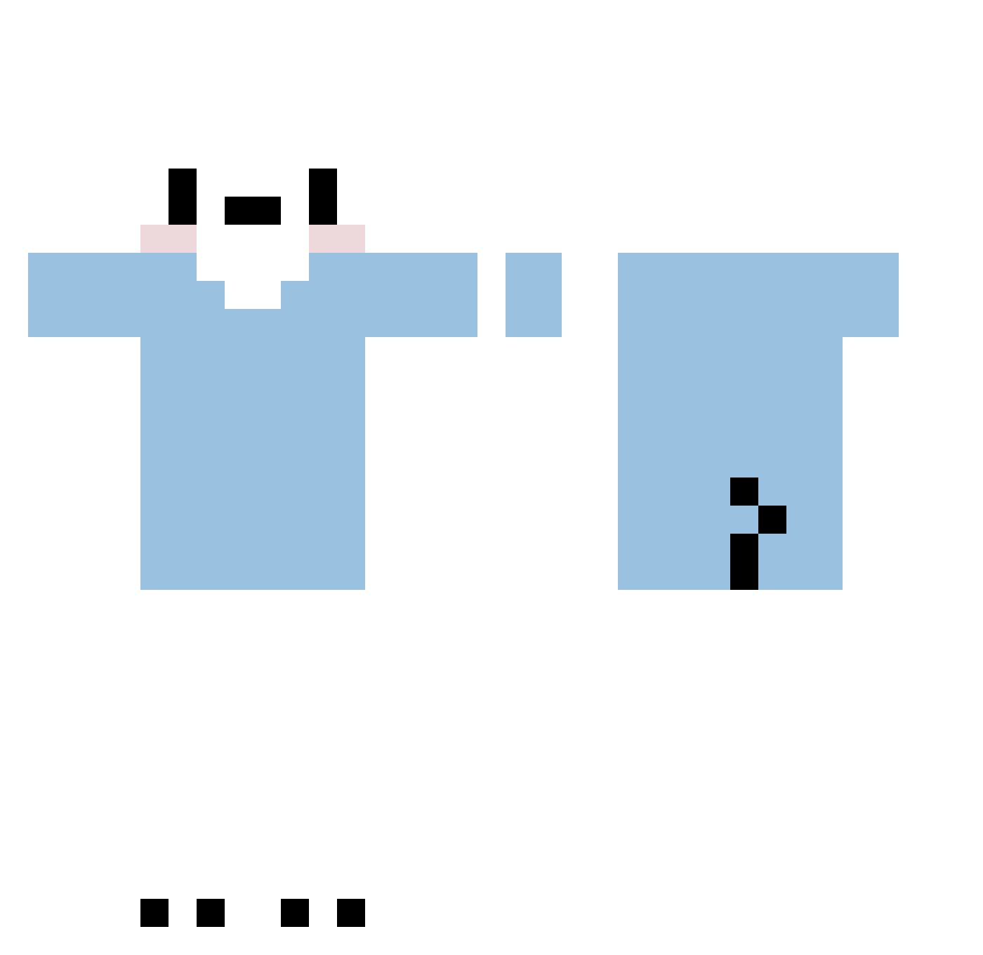 FLOWERSEBS Minecraft skin, front and back view