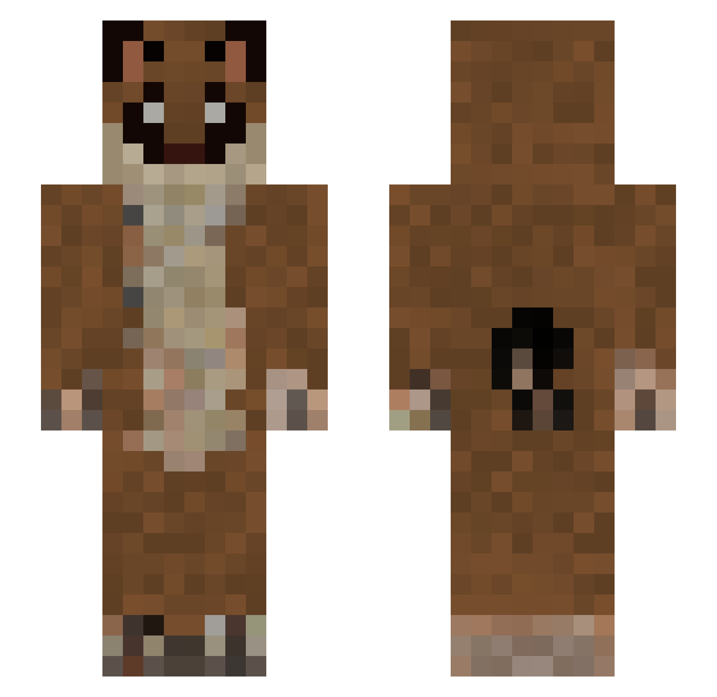 CaseFloppa Minecraft skin, front and back view