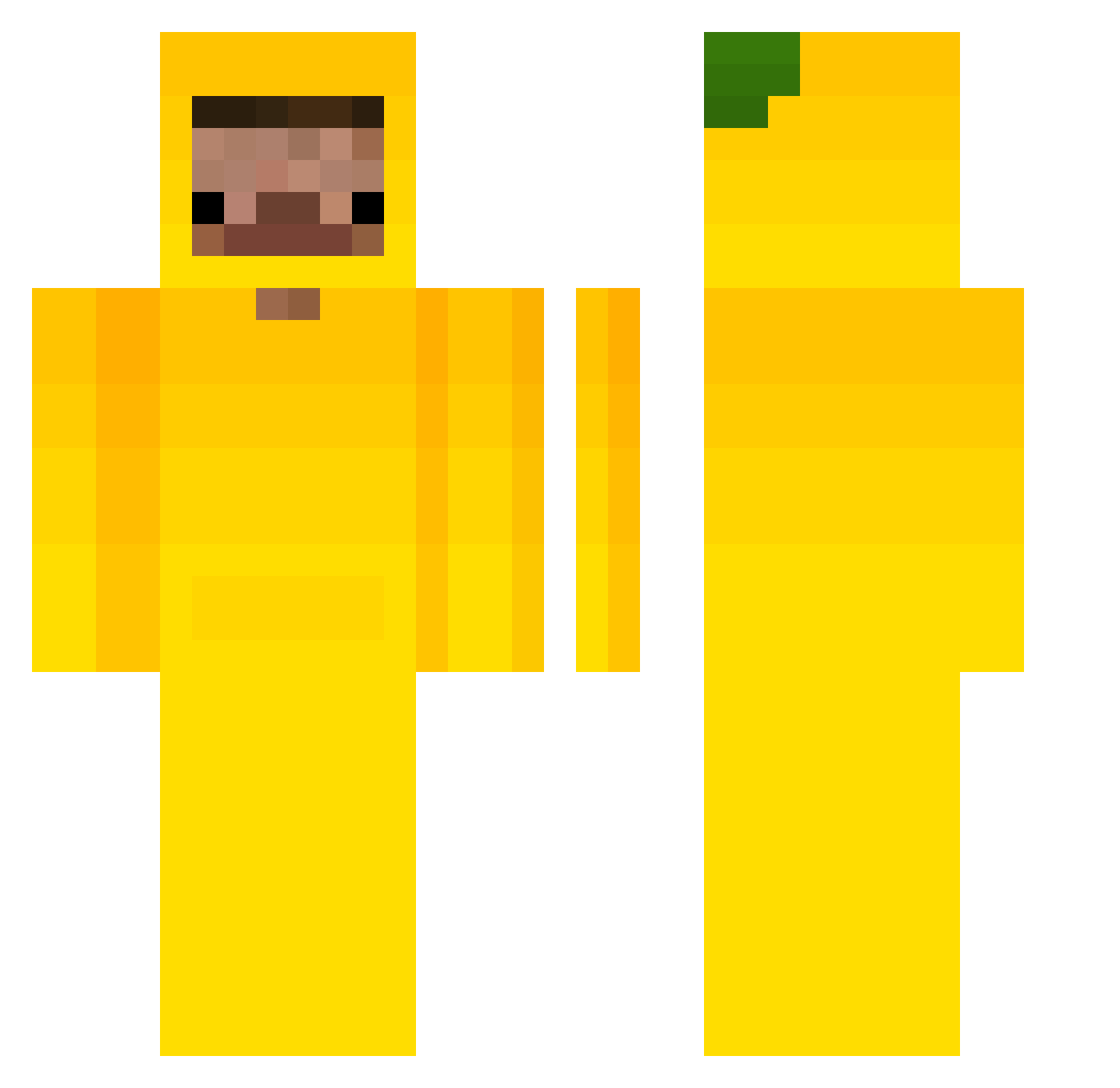 FlipPro4 Minecraft skin, front and back view