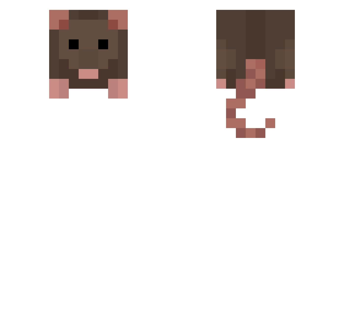 BruhIsHere Minecraft skin, front and back view