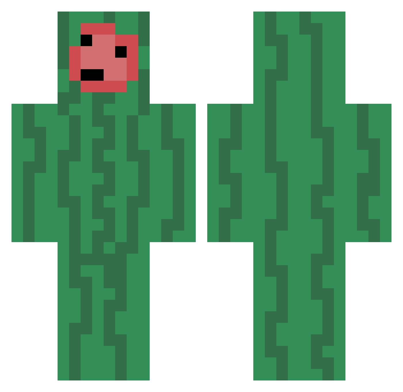 Untitled3291 Minecraft skin, front and back view