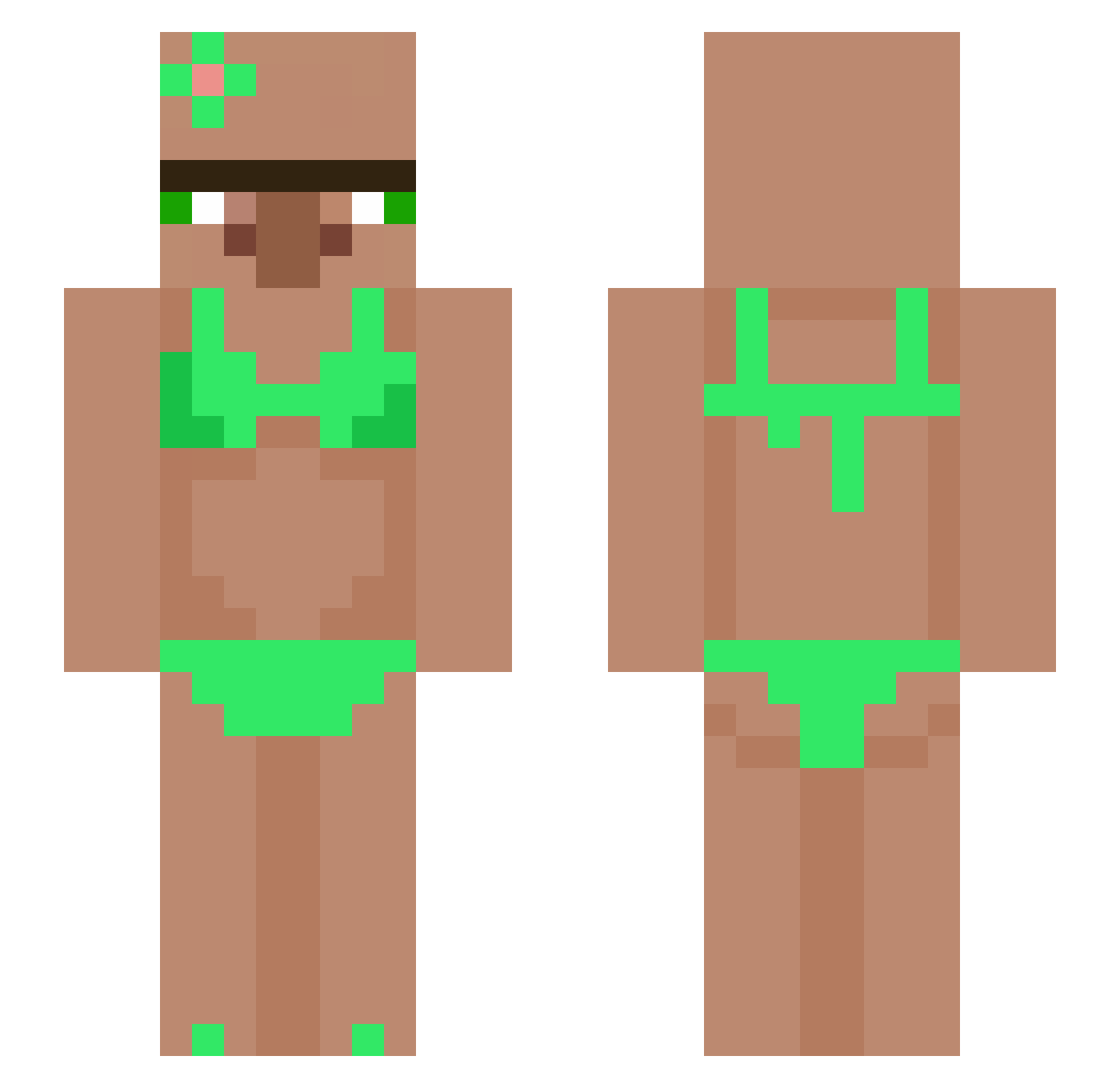 wintintin Minecraft skin, front and back view
