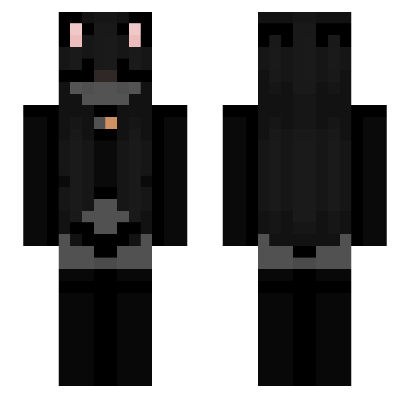 sponging Minecraft skin, front and back view
