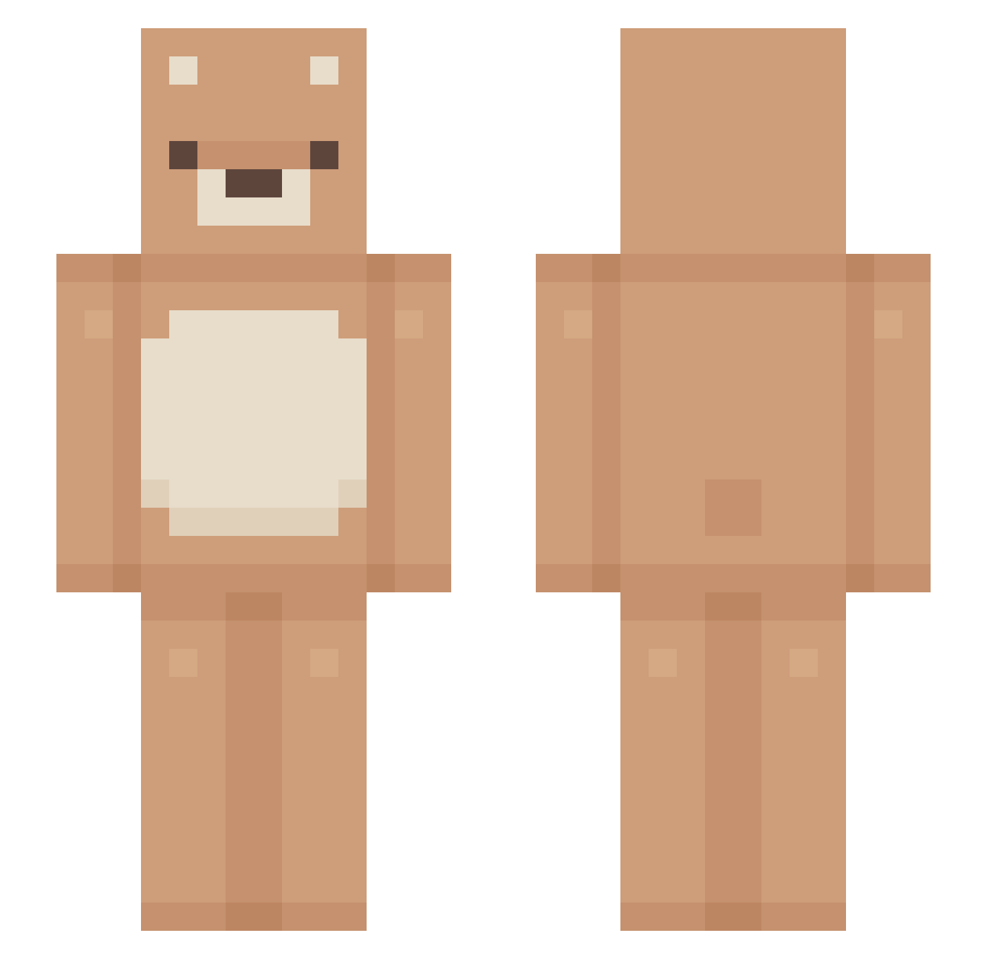 NICM2006 Minecraft skin, front and back view