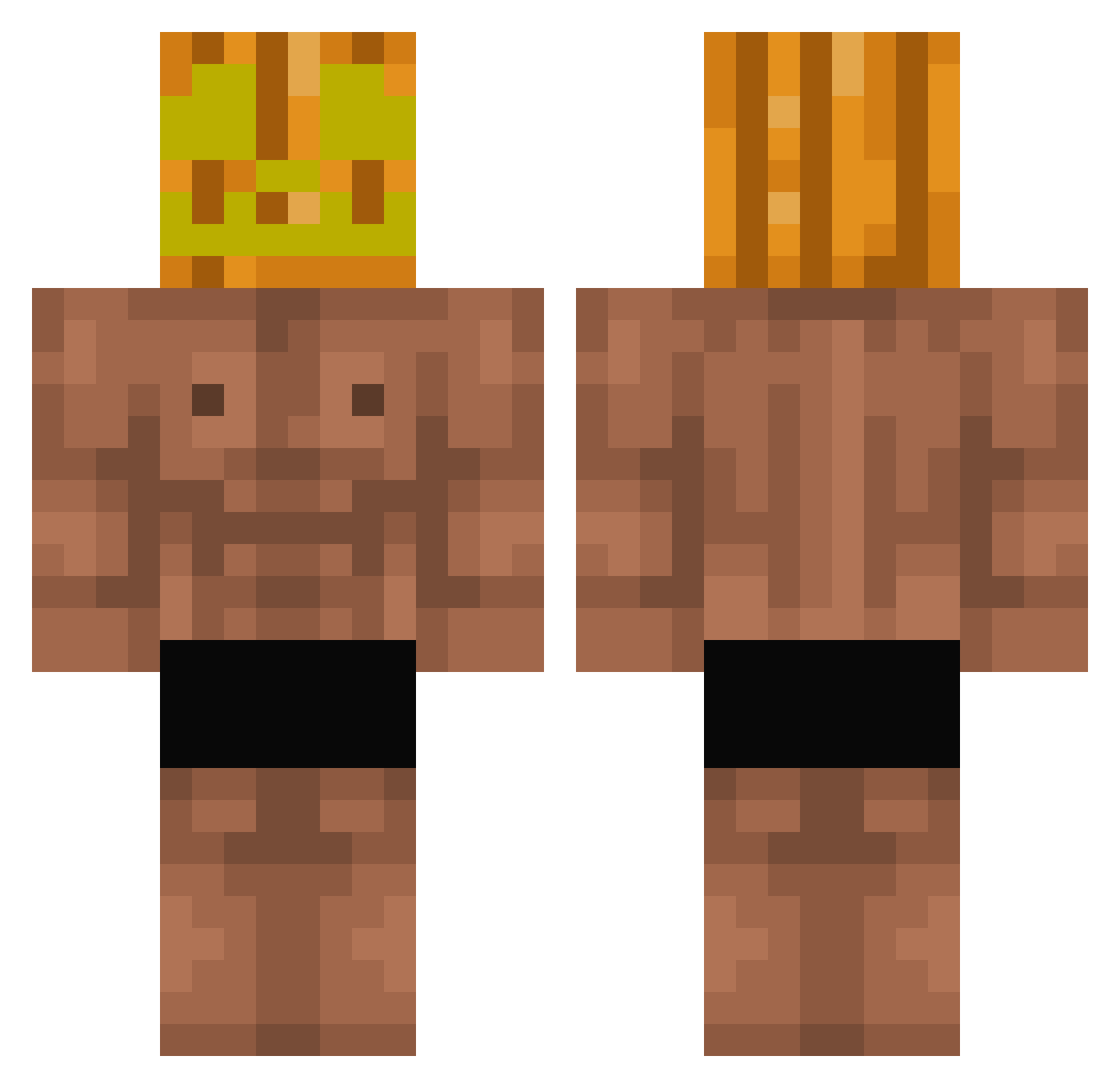 Ripoupi Minecraft skin, front and back view