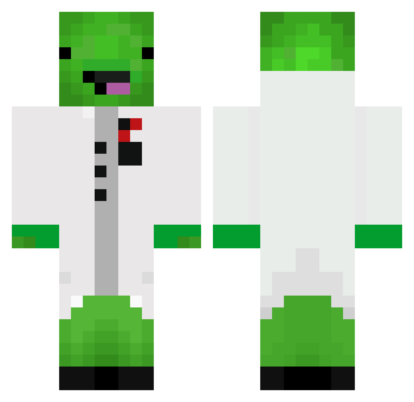 Tardle Minecraft skin, front and back view