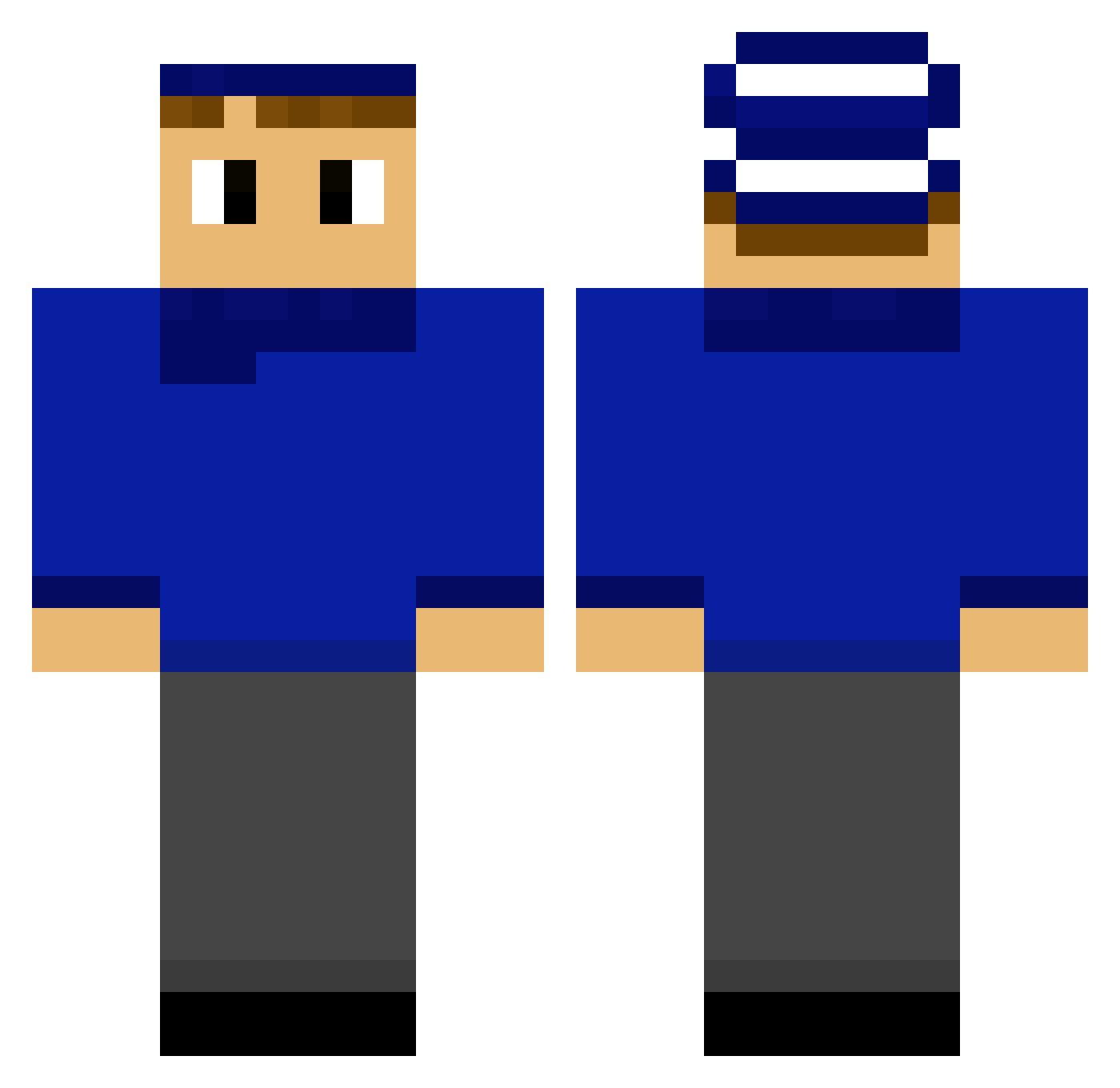 Siilid Minecraft skin, front and back view