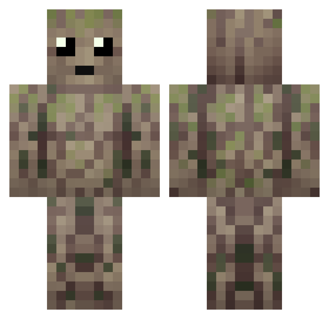 Sward__ Minecraft skin, front and back view