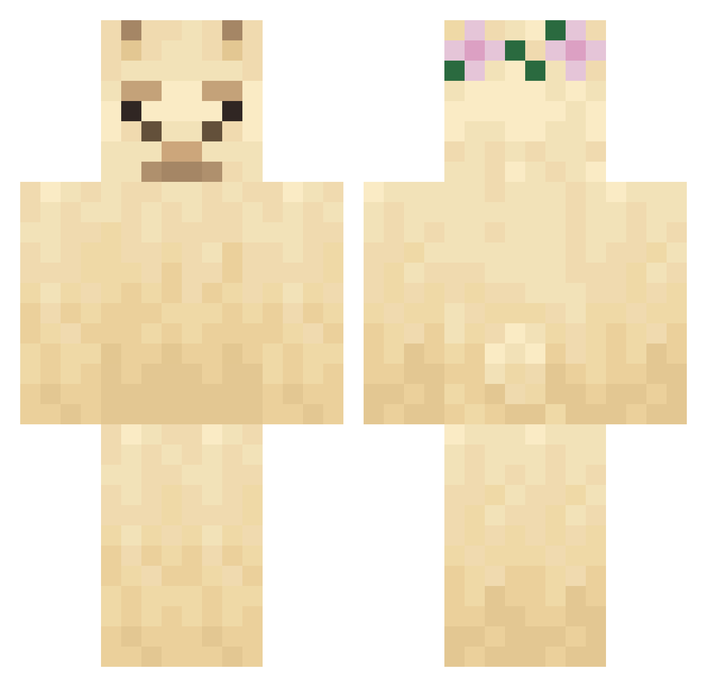 siIIy_wiIIy Minecraft skin, front and back view