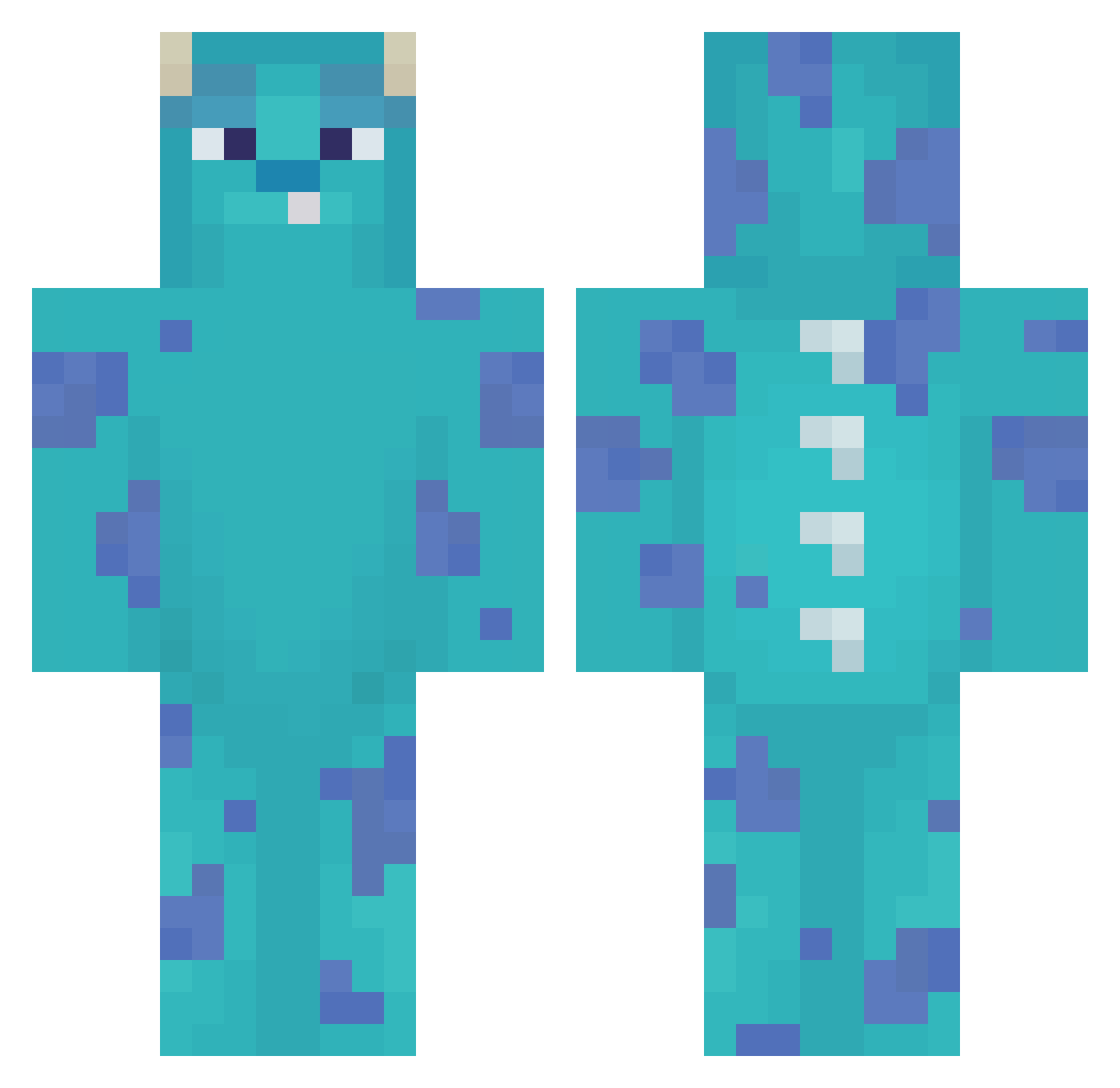 RaySysm Minecraft skin, front and back view