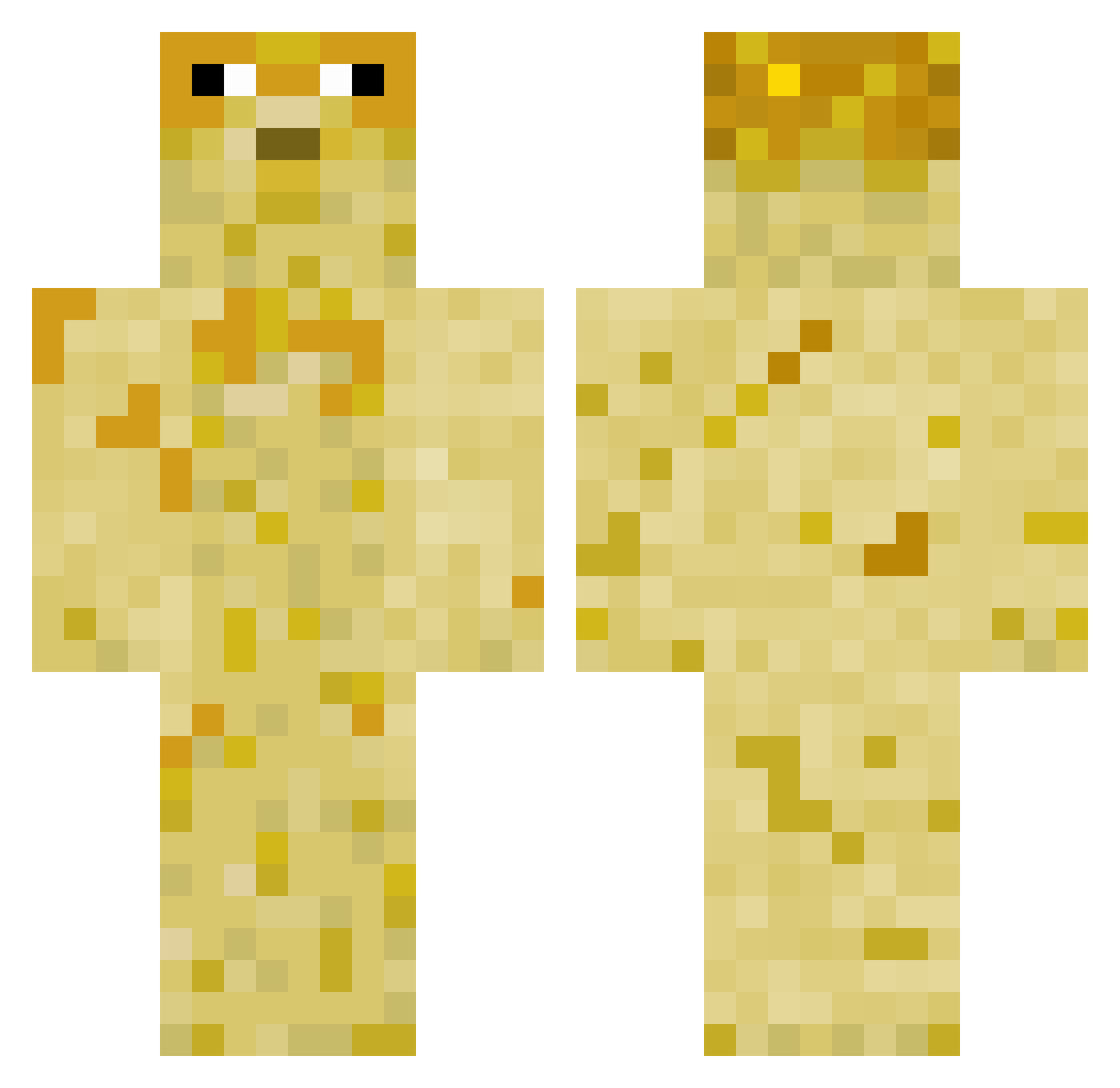 Matt_cam8988 Minecraft skin, front and back view