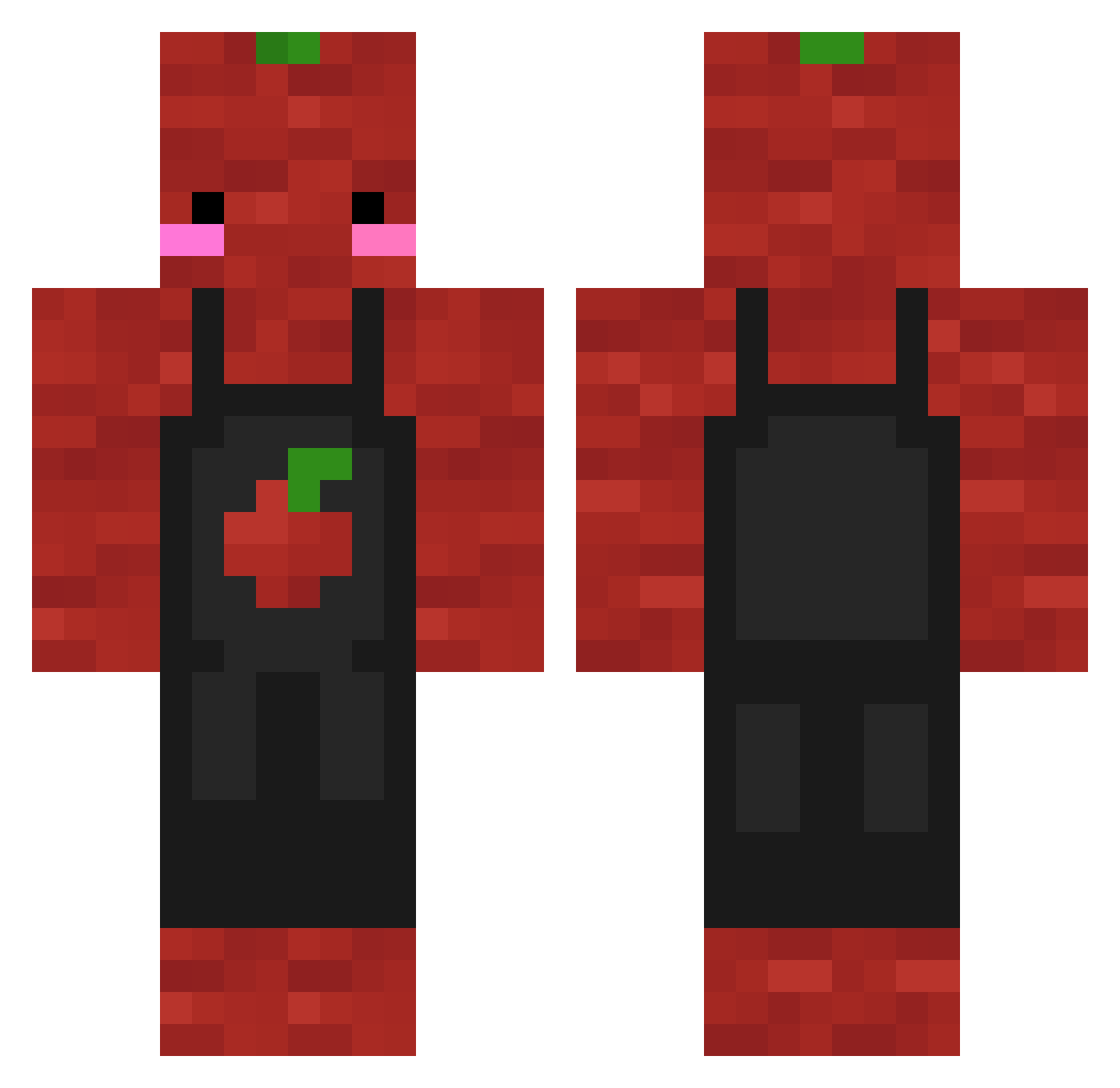 dankelul2 Minecraft skin, front and back view