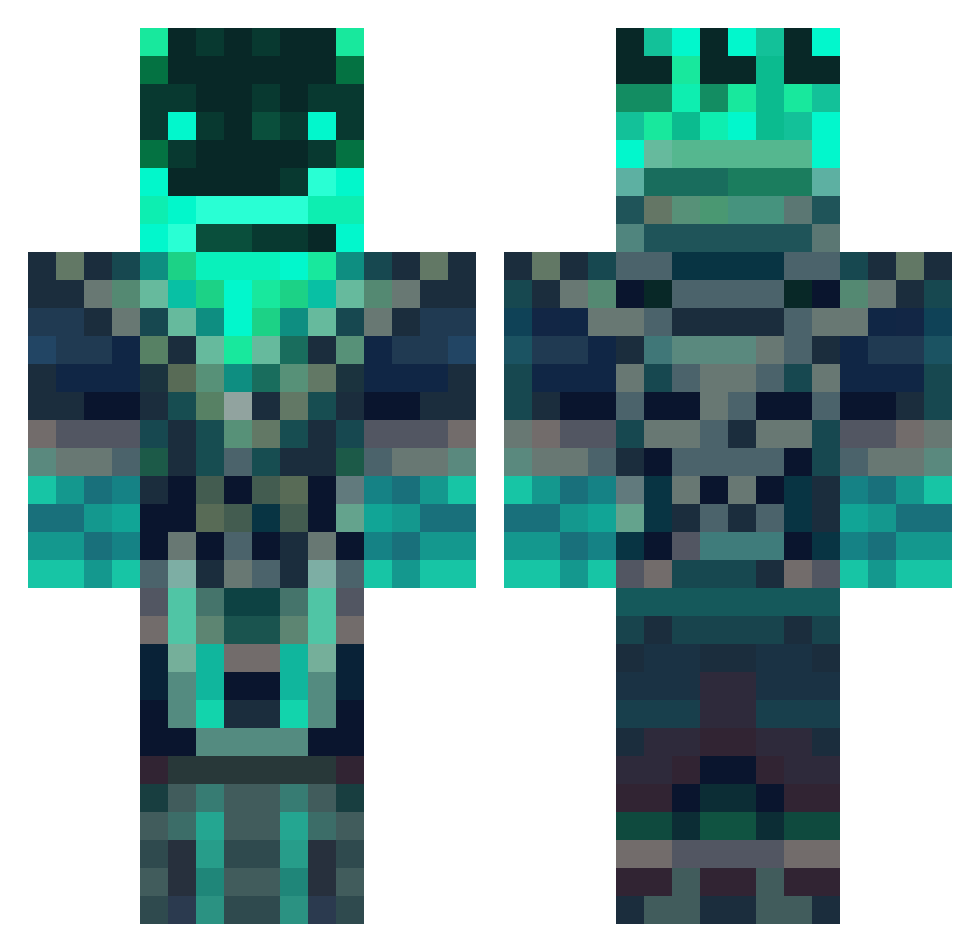tinyninja810 Minecraft skin, front and back view
