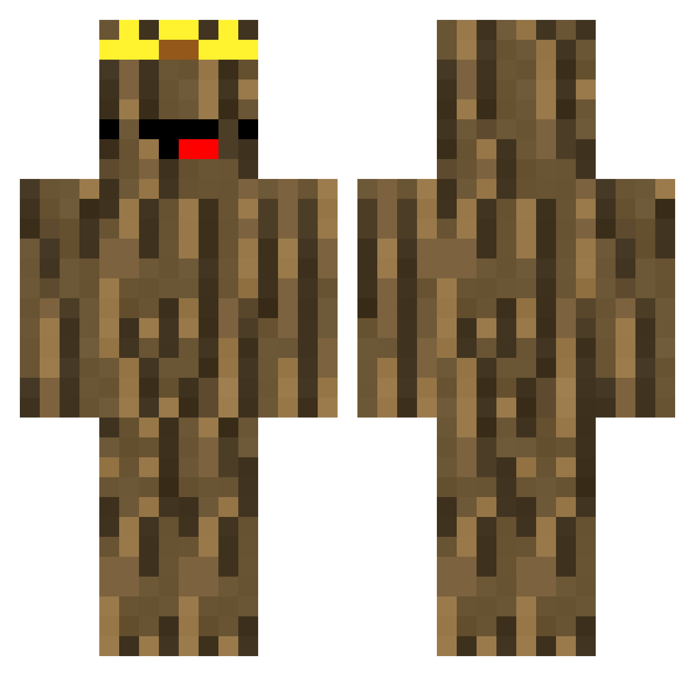 pizrox Minecraft skin, front and back view