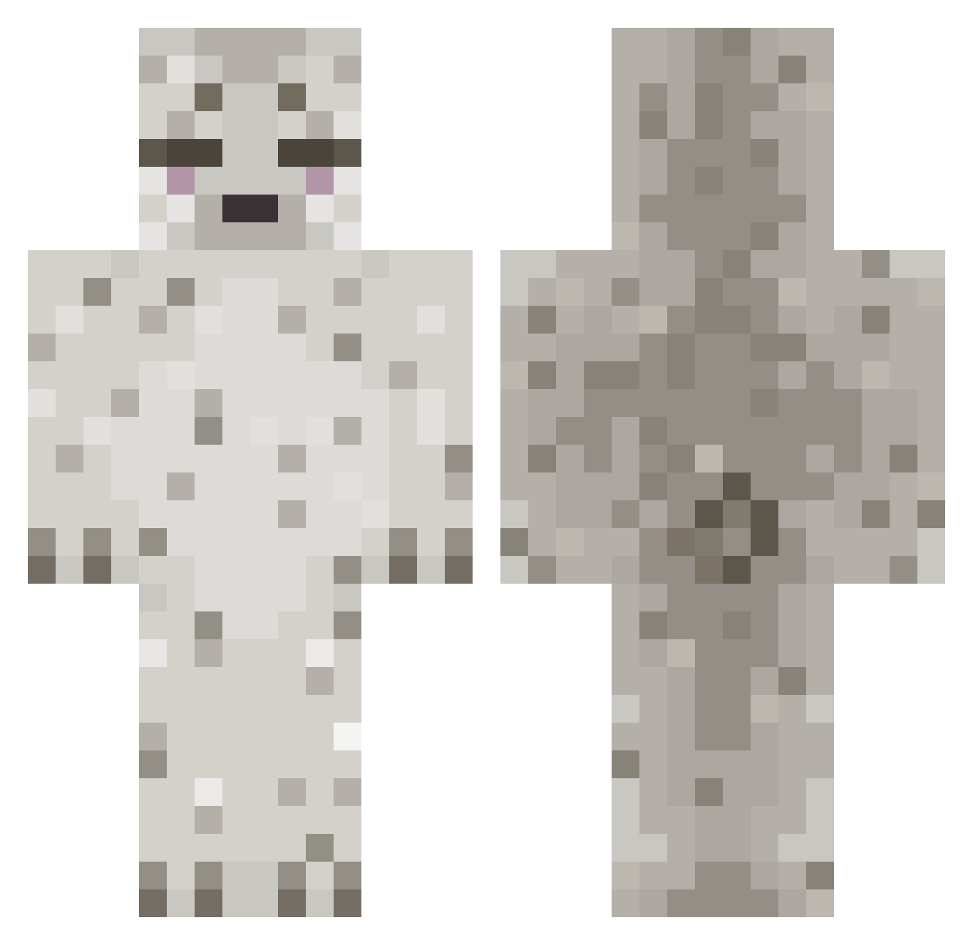 Aidanj676 Minecraft skin, front and back view