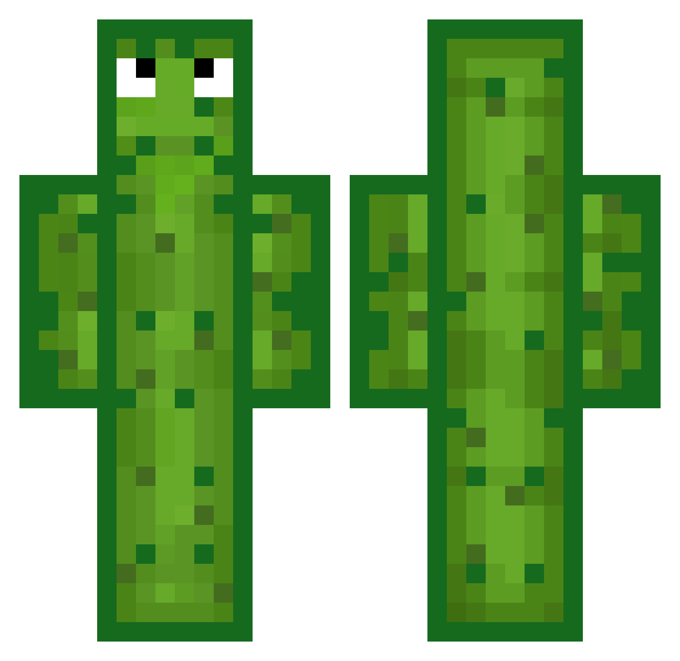 bobbyboy_1234 Minecraft skin, front and back view