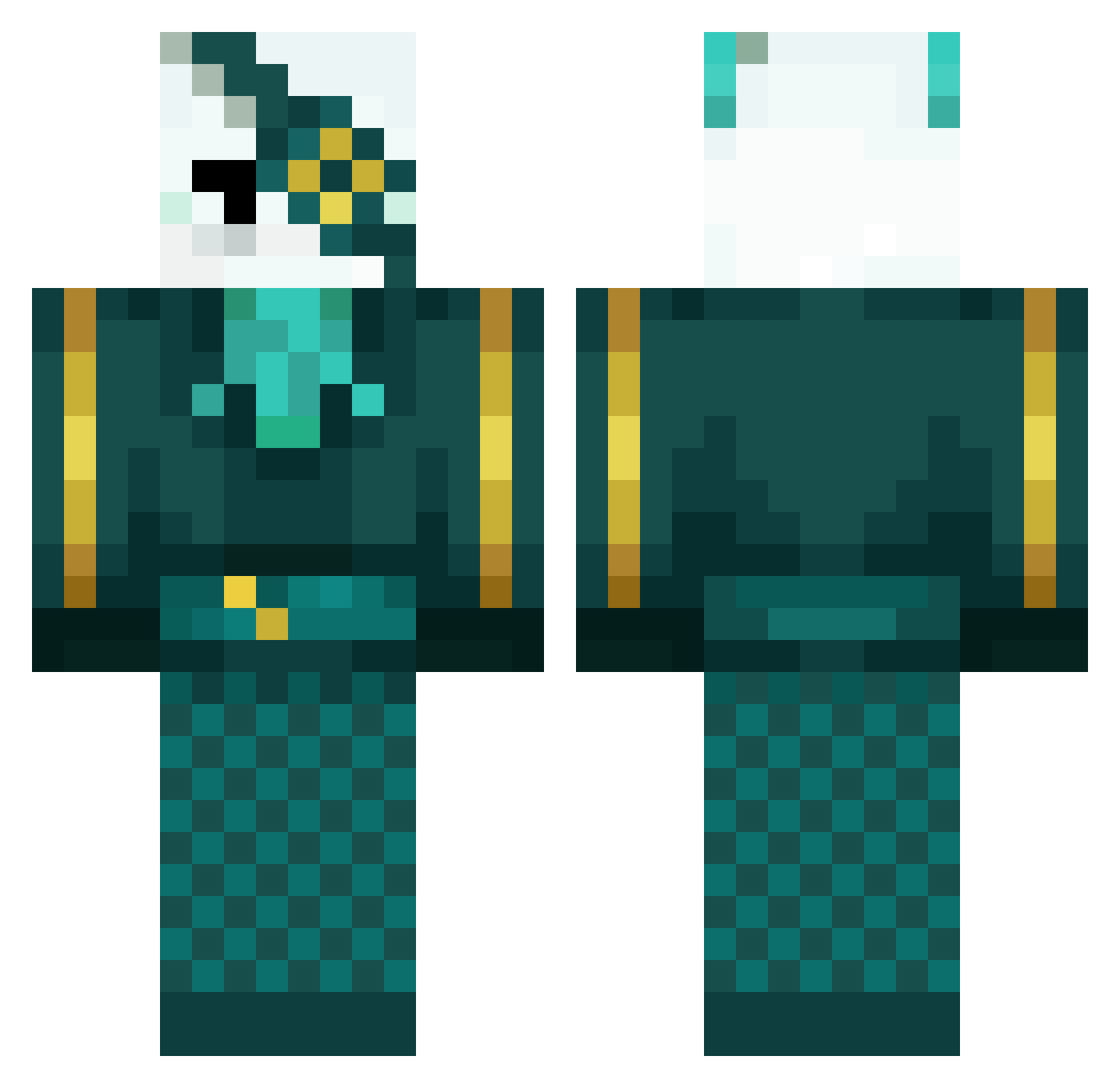 sunnycomet47 Minecraft skin, front and back view