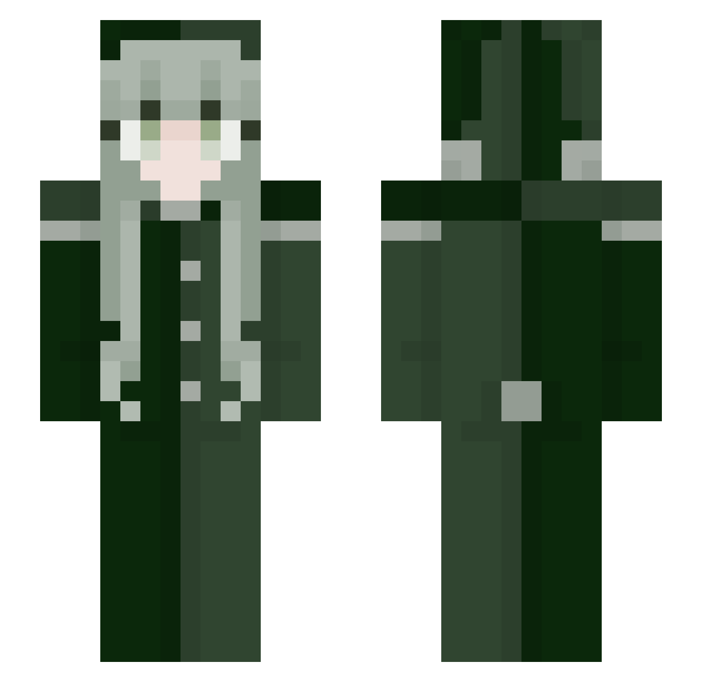 qM7cha3lx Minecraft skin, front and back view