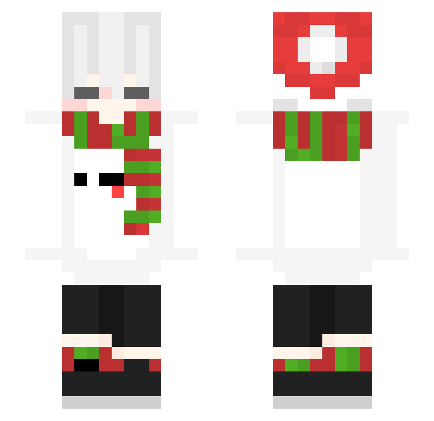 WNVP Minecraft skin, front and back view
