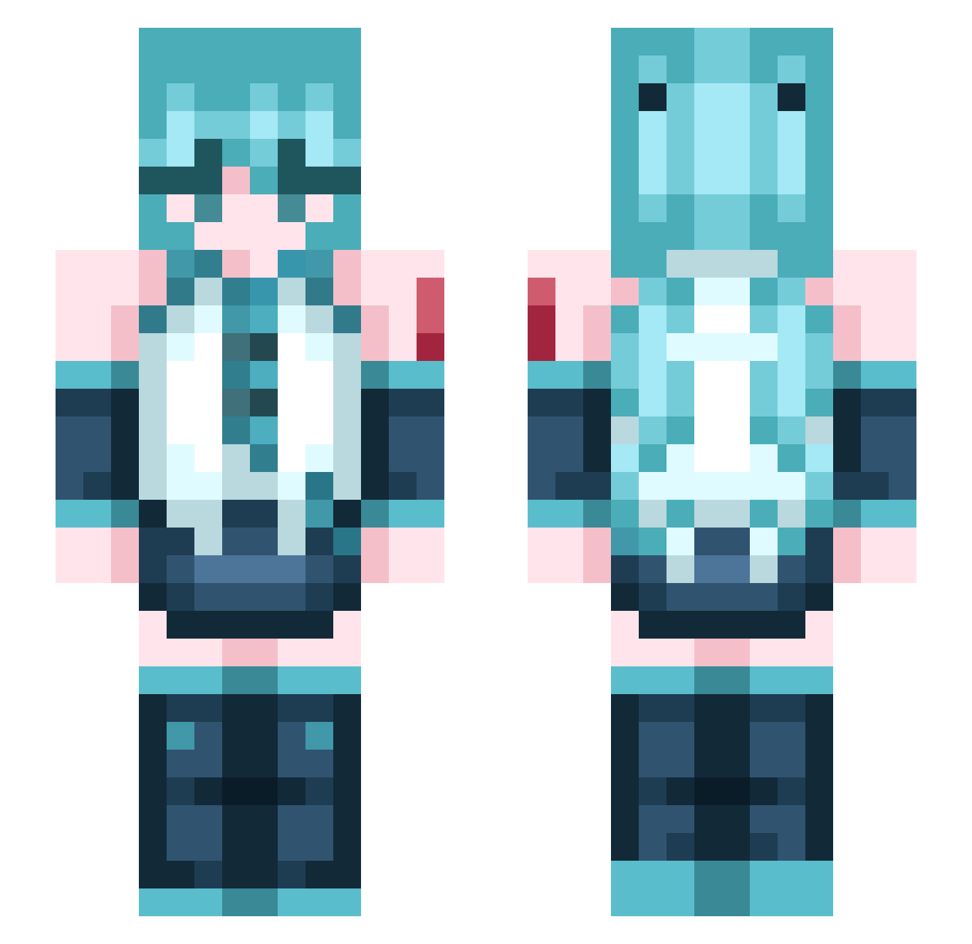 TGB9919 Minecraft skin, front and back view