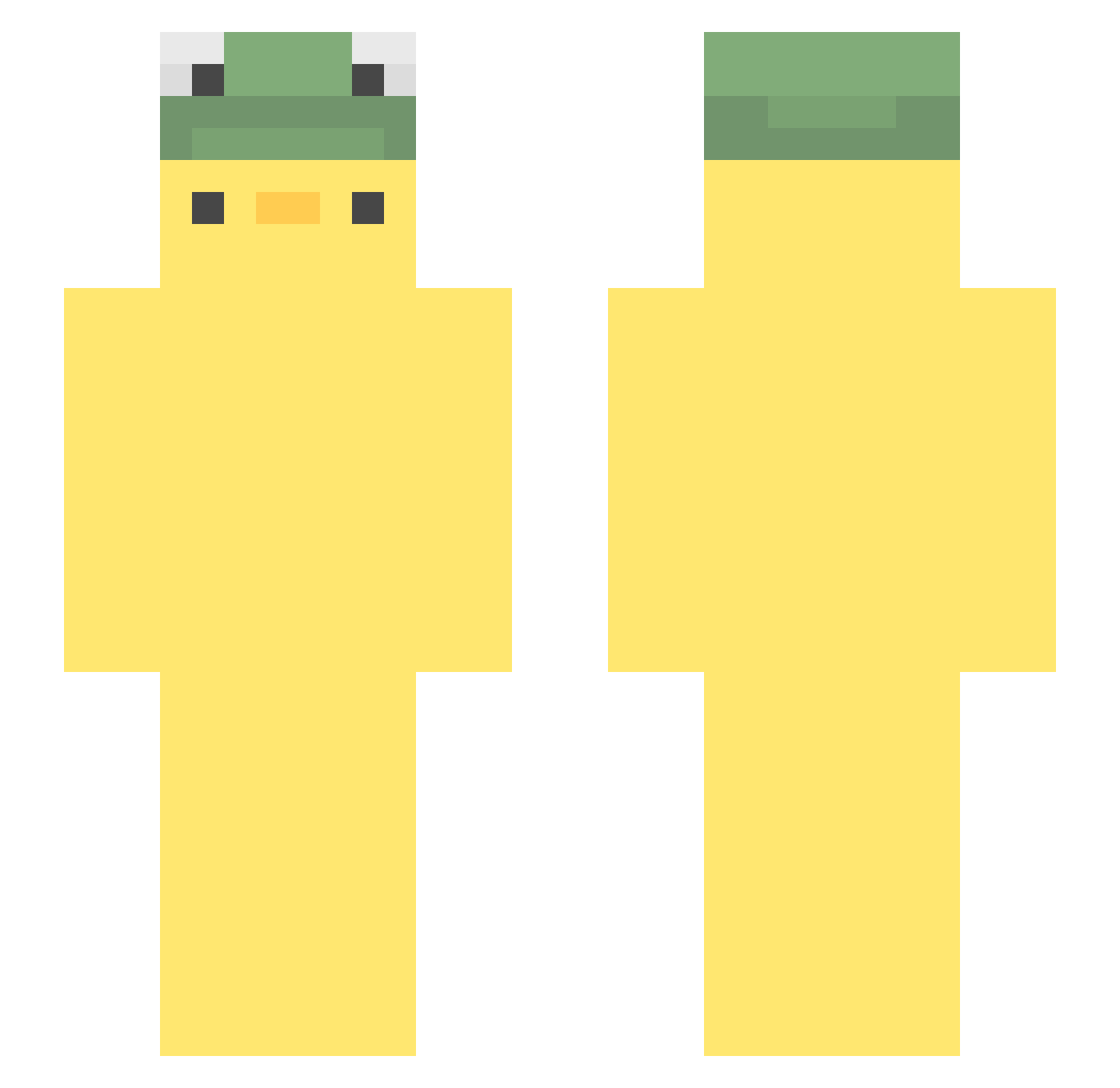 Stelsel Minecraft skin, front and back view
