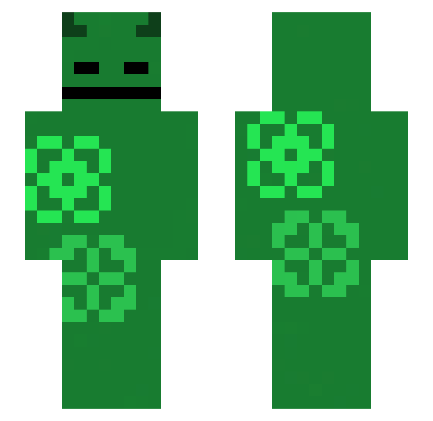 echosenzu Minecraft skin, front and back view