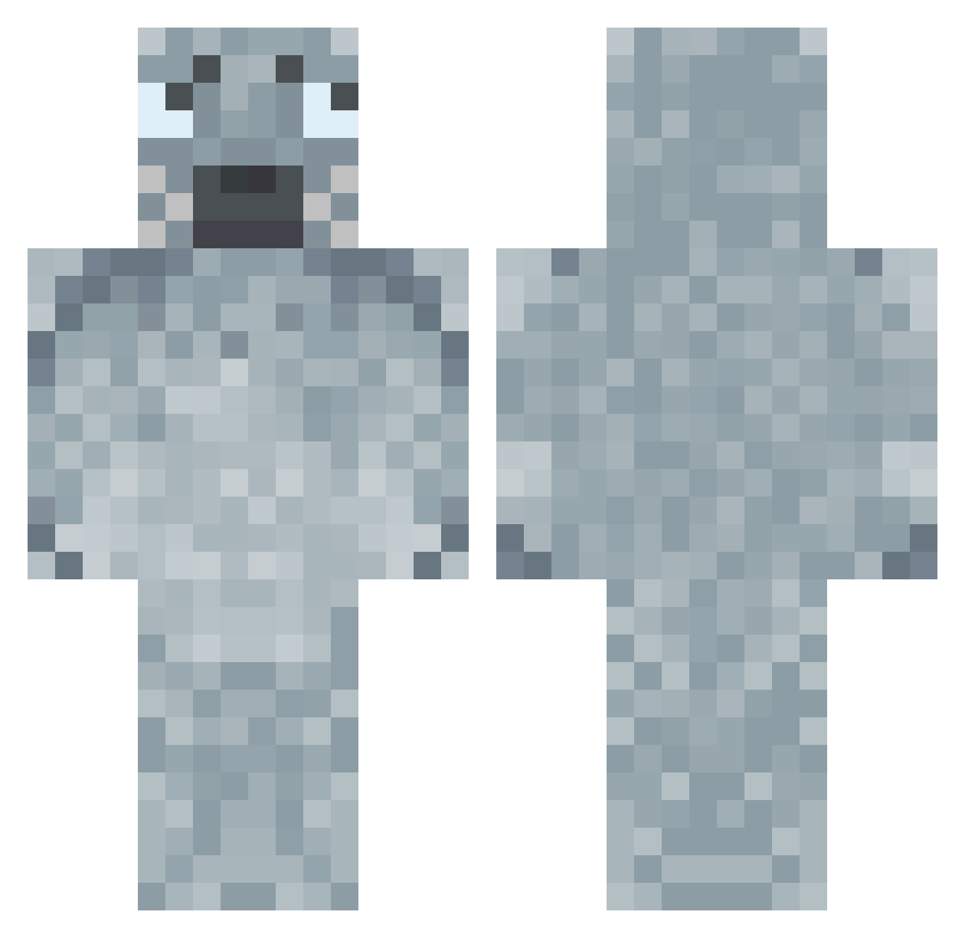 SillyGooberRAAHH Minecraft skin, front and back view