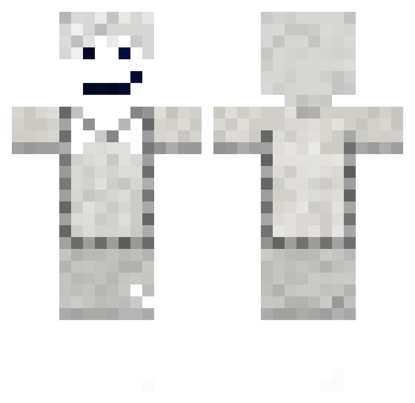 articcccccc Minecraft skin, front and back view