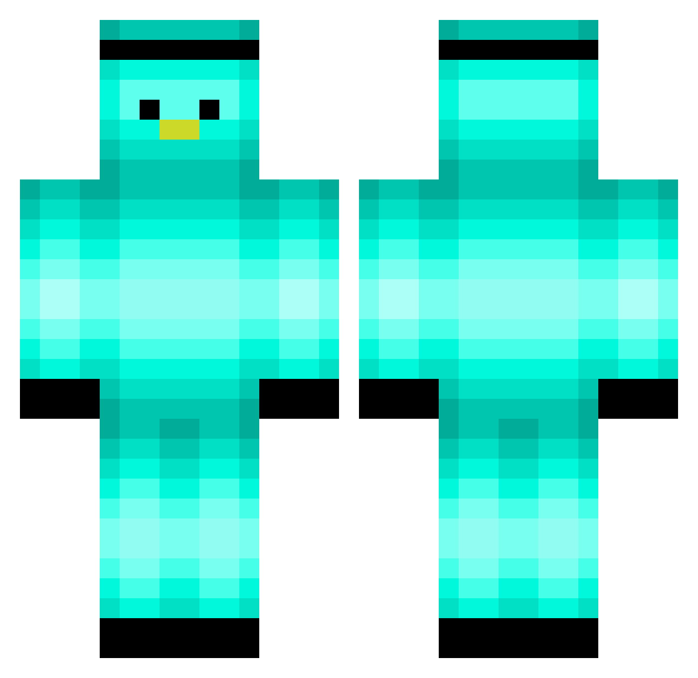 FoPa_ Minecraft skin, front and back view