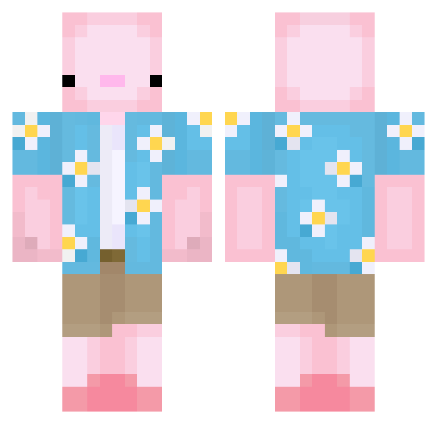 rhfy001 Minecraft skin, front and back view
