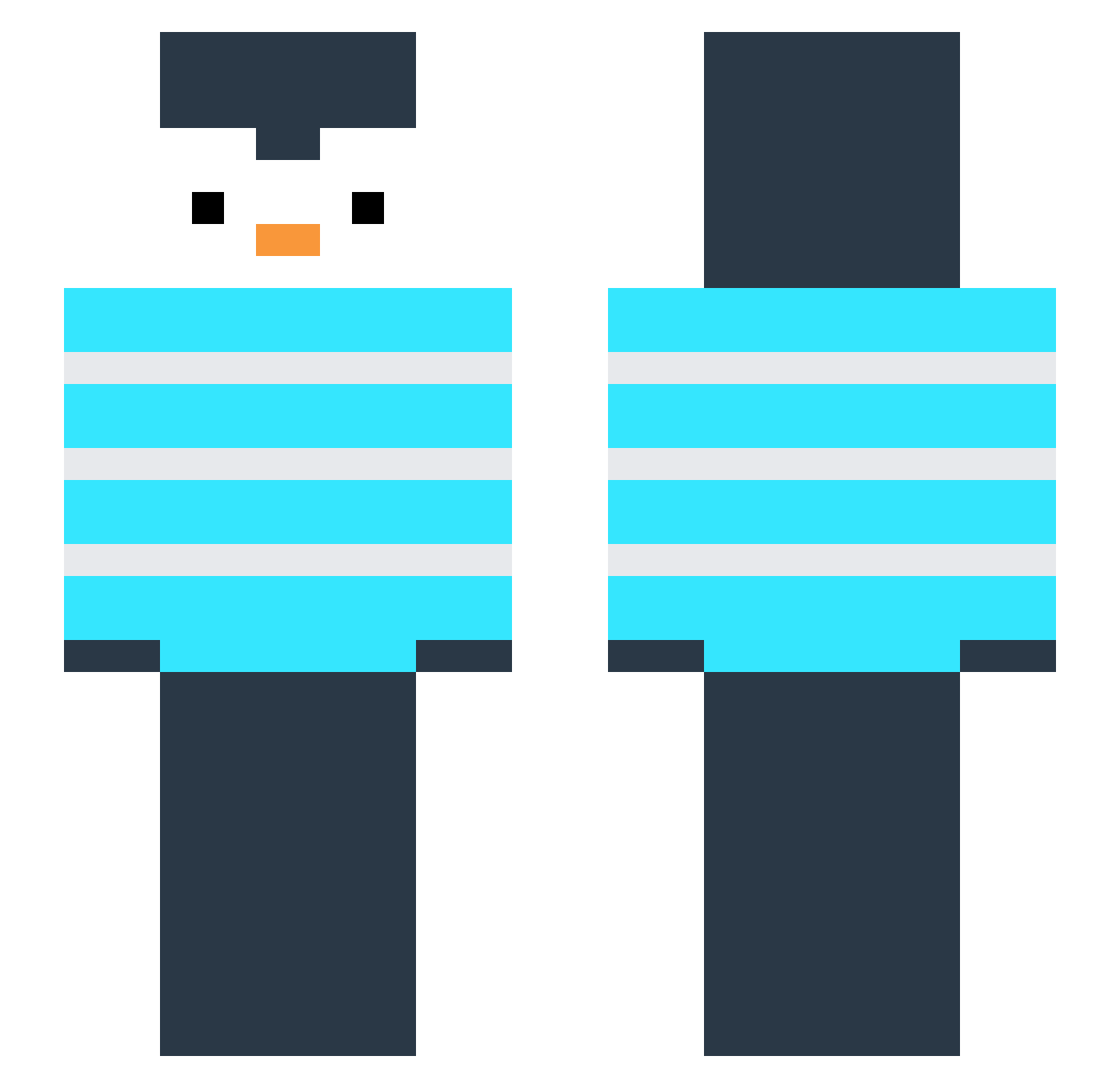 dryflyjedi Minecraft skin, front and back view