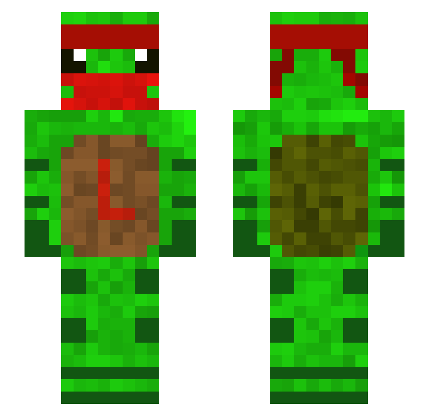 1Turt Minecraft skin, front and back view