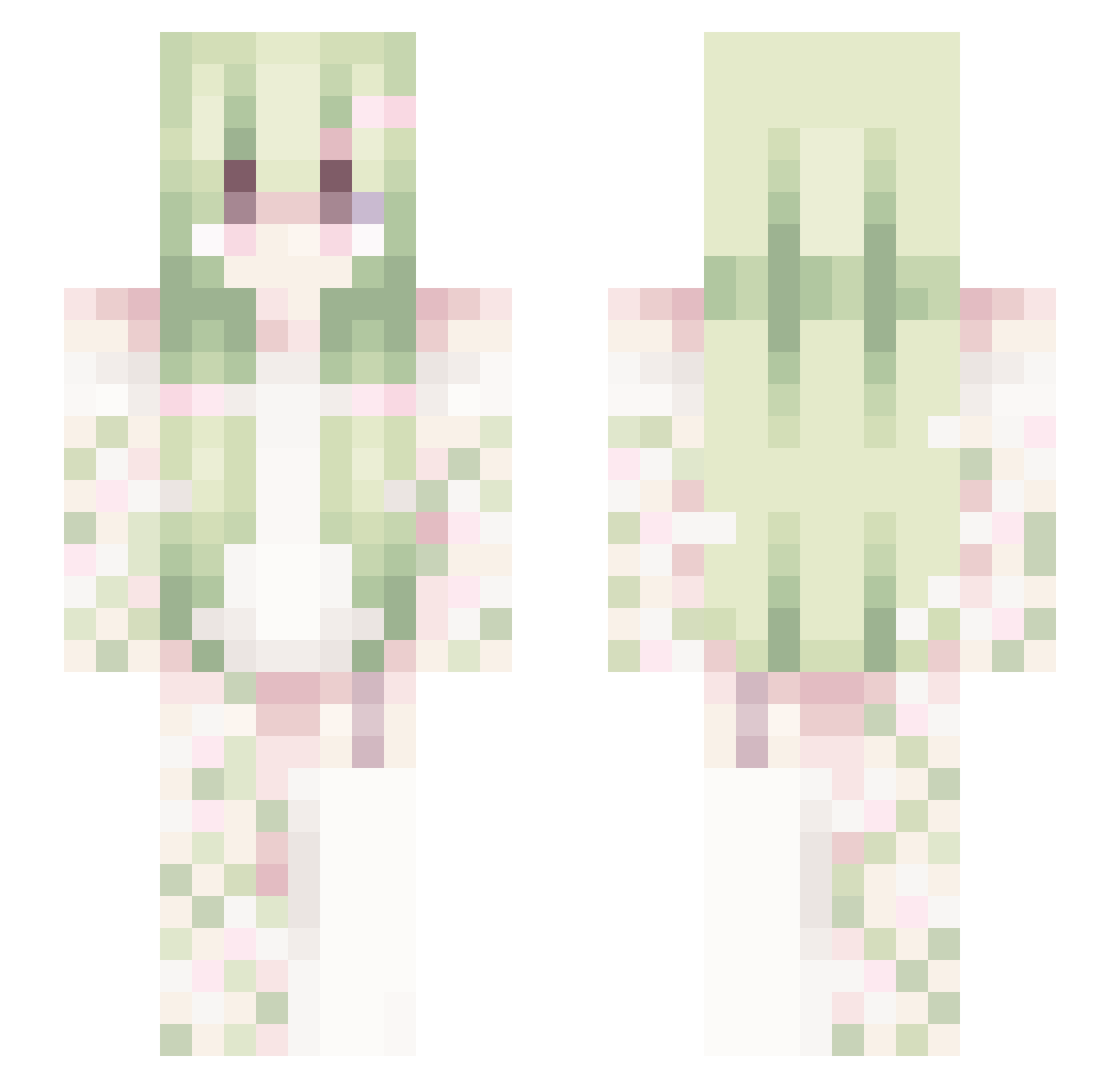 PALUIU Minecraft skin, front and back view