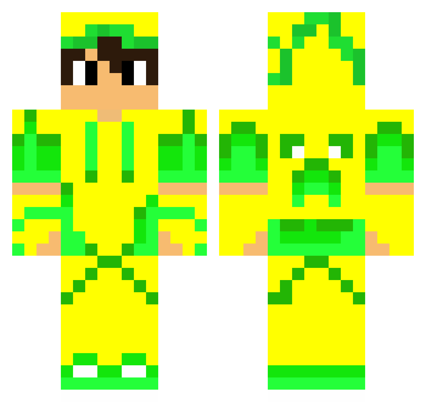 Ziretech Minecraft skin, front and back view