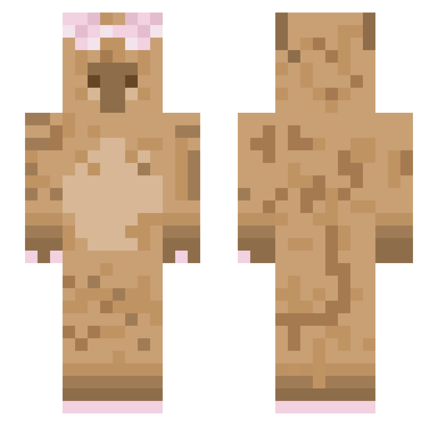 majonezik123 Minecraft skin, front and back view