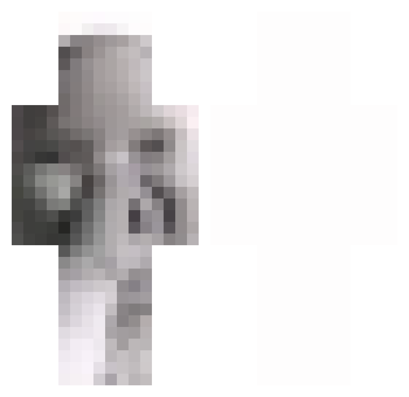 Sebax5502 Minecraft skin, front and back view