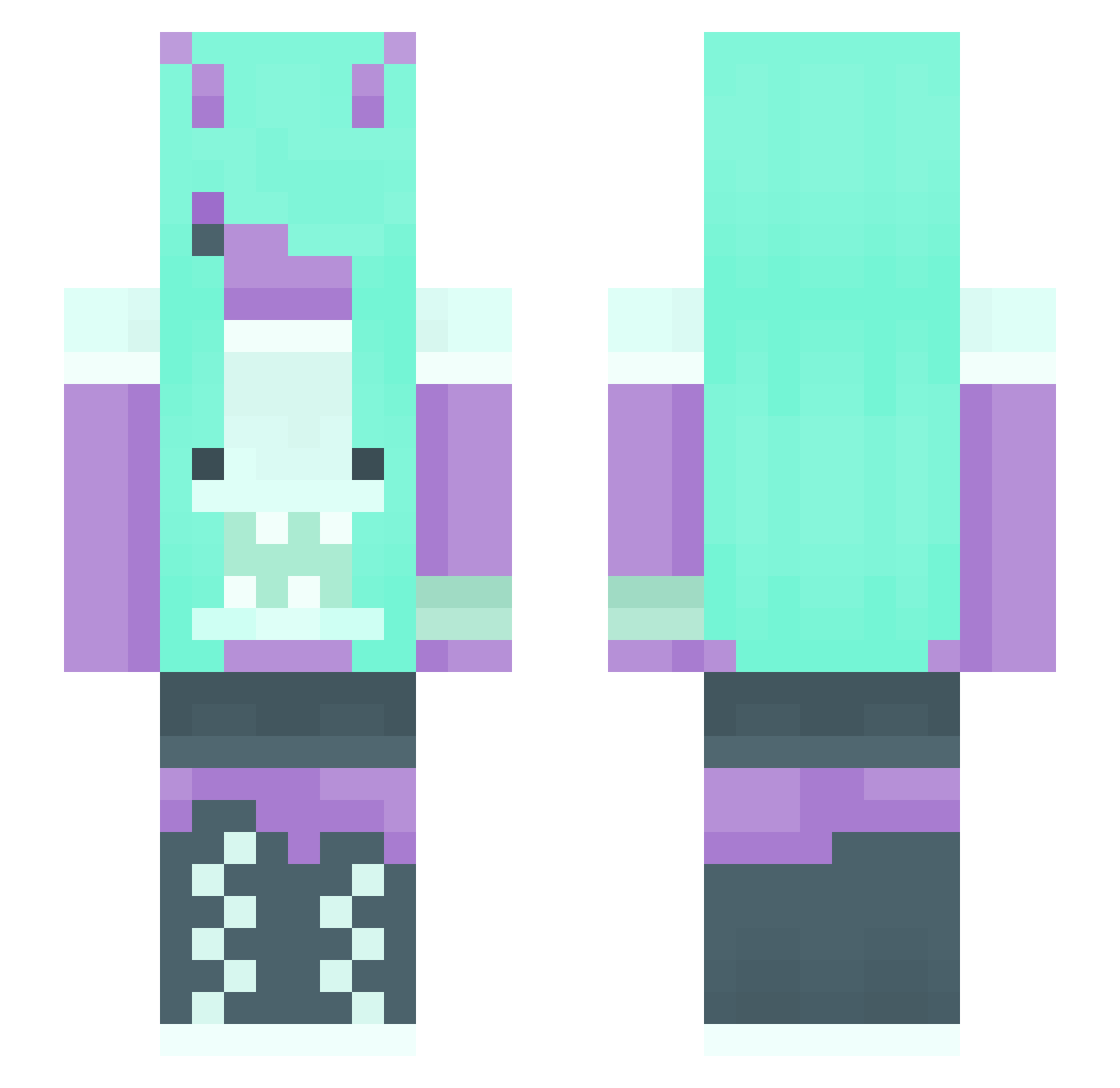 Ztarre Minecraft skin, front and back view