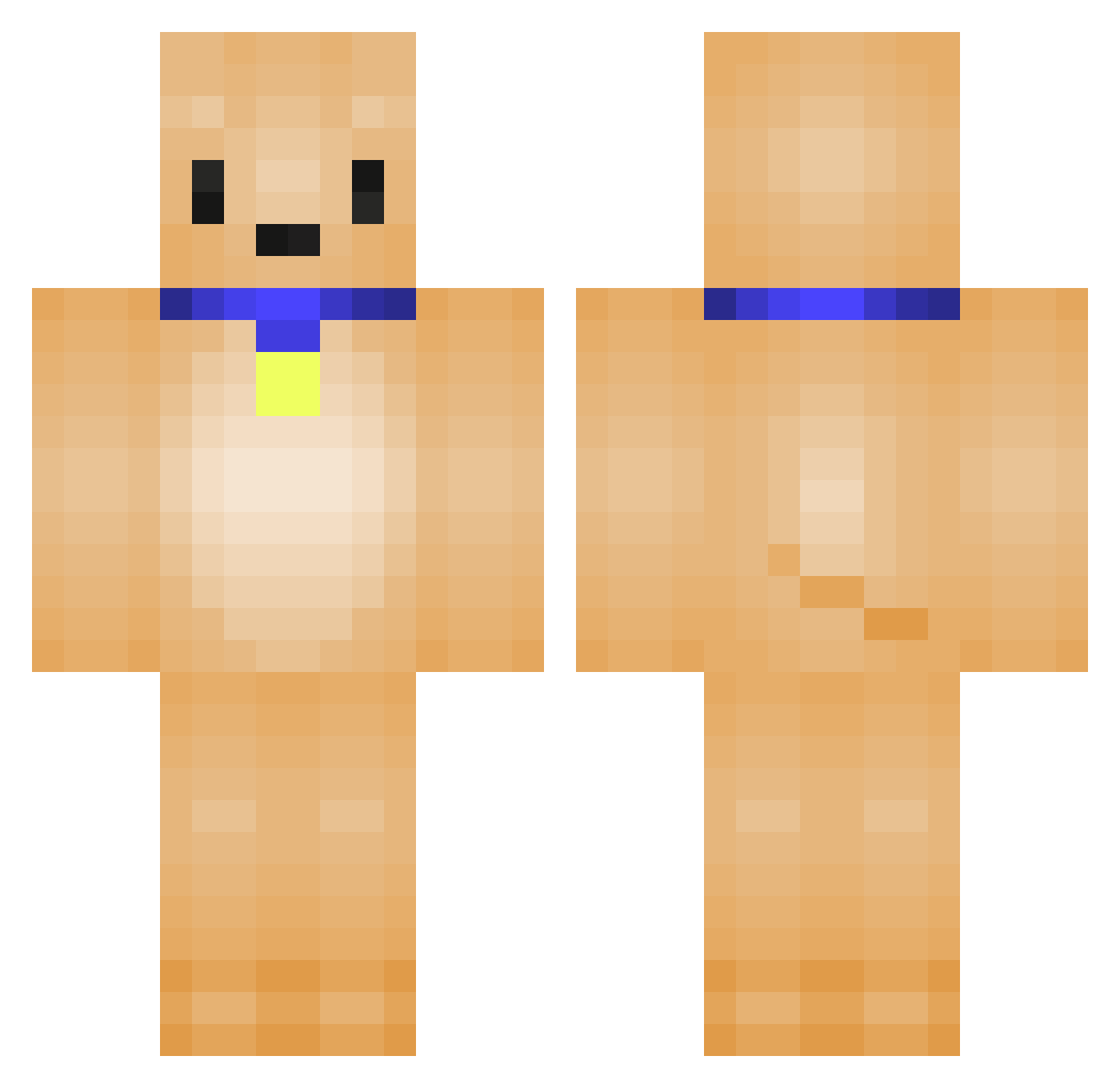 Empty_duckkkk Minecraft skin, front and back view