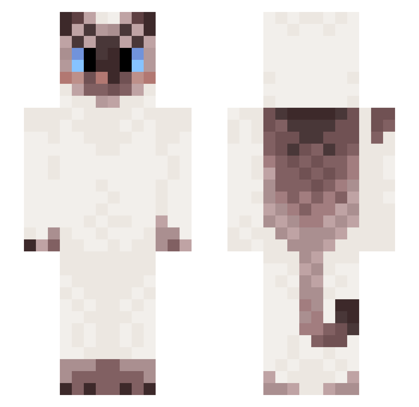 Vinegarette Minecraft skin, front and back view
