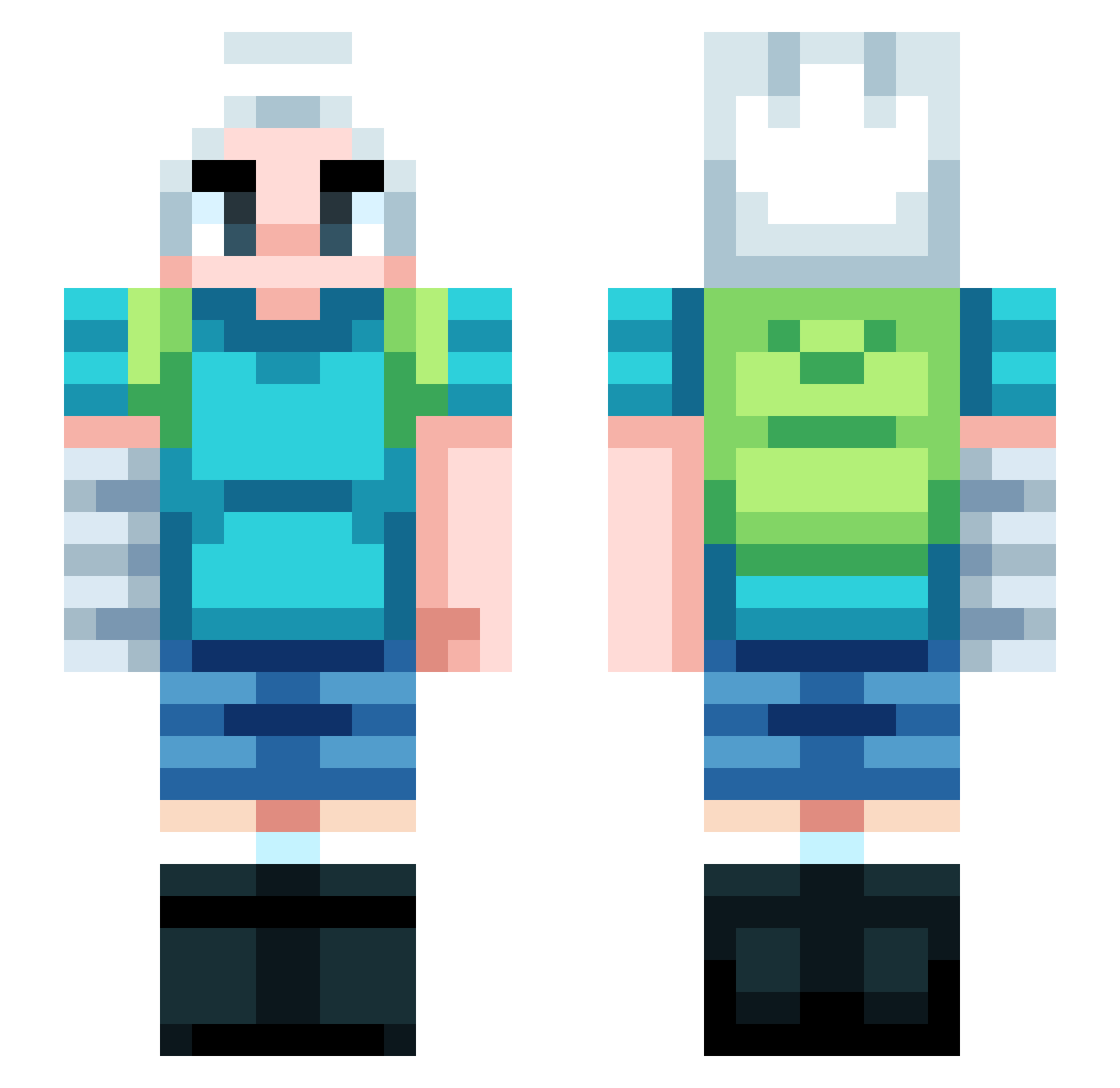 Reeyaan Minecraft skin, front and back view