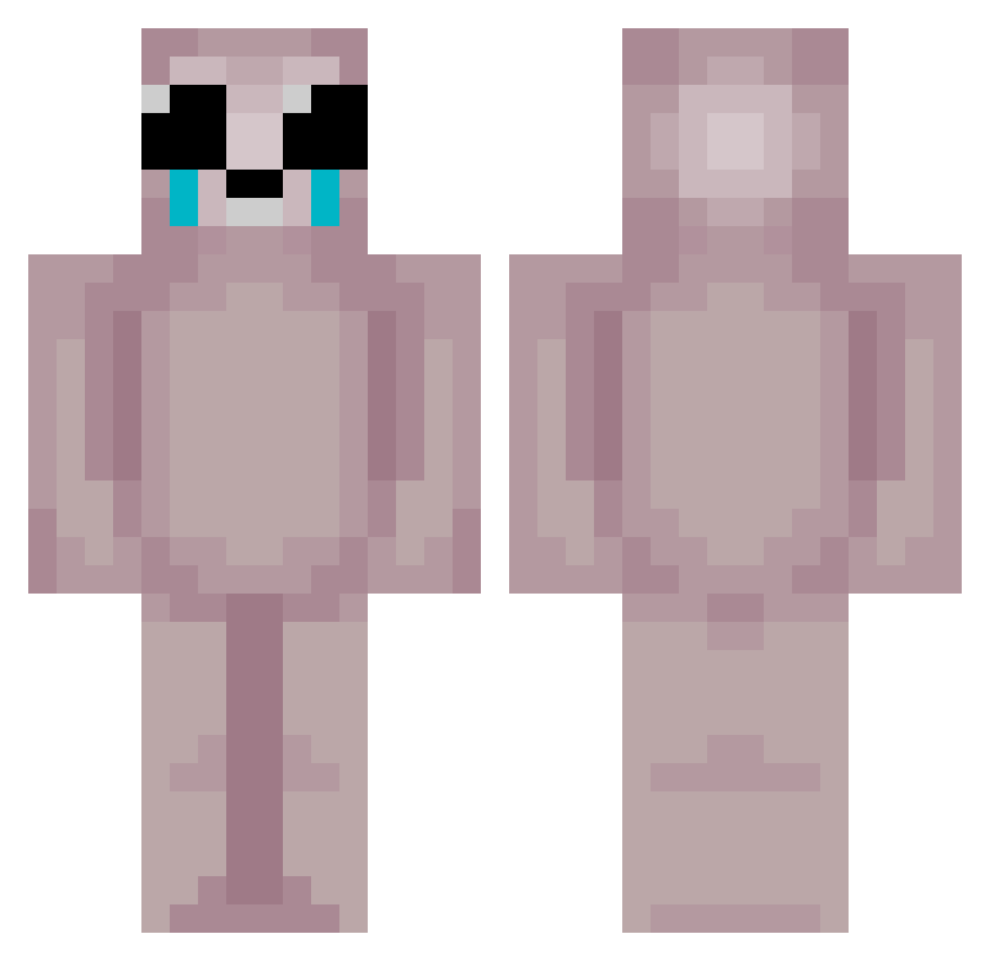 _nth Minecraft skin, front and back view