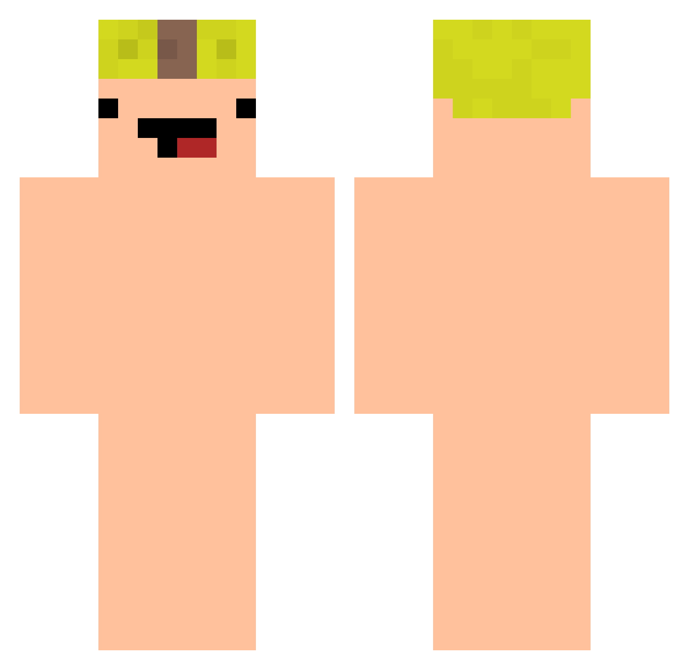 saynoww Minecraft skin, front and back view