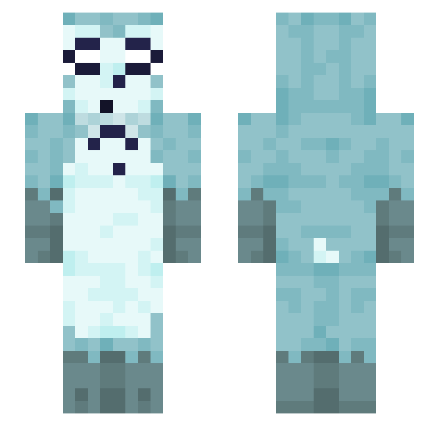 Meewise Minecraft skin, front and back view