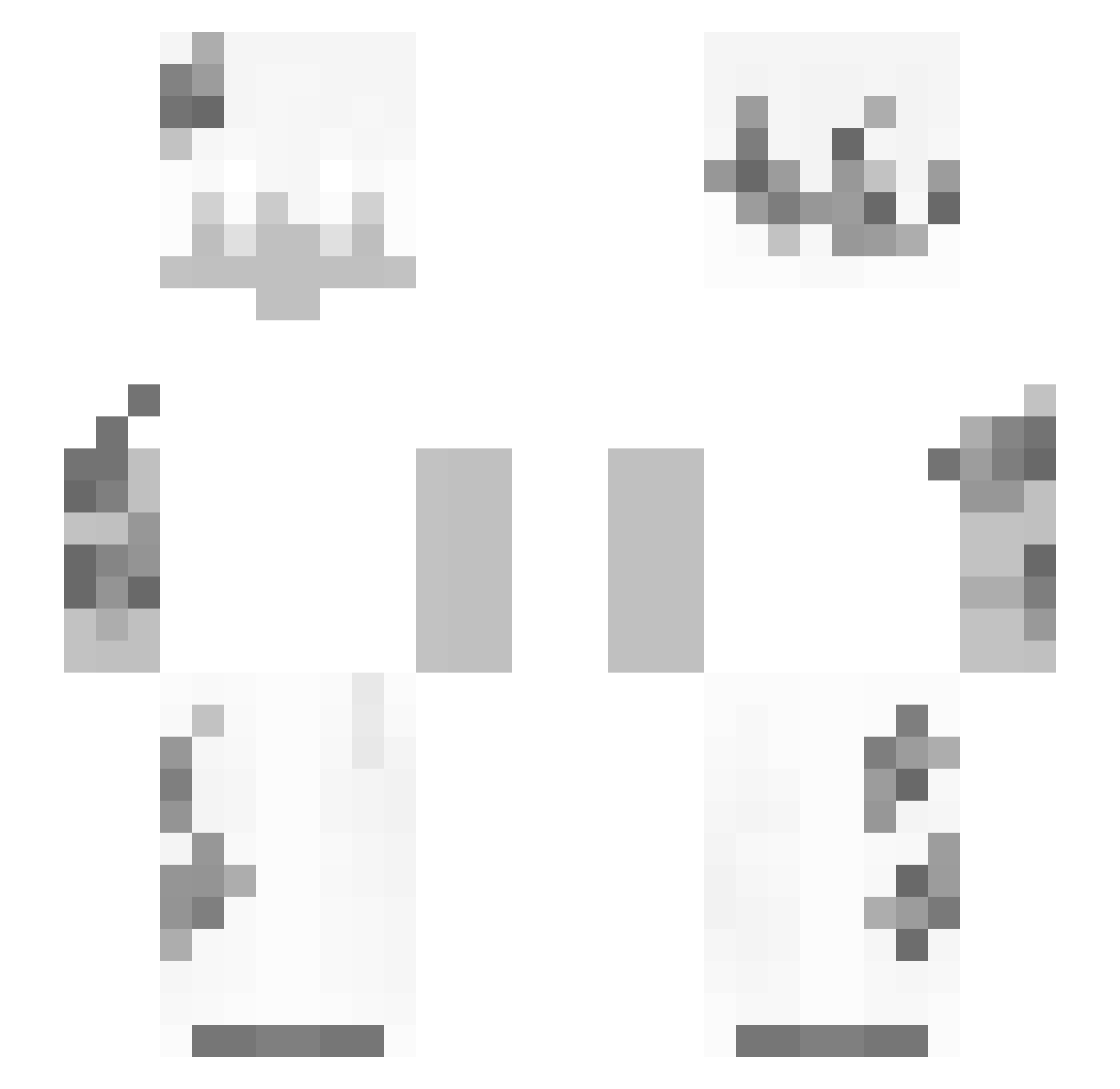 gamerman4673 Minecraft skin, front and back view