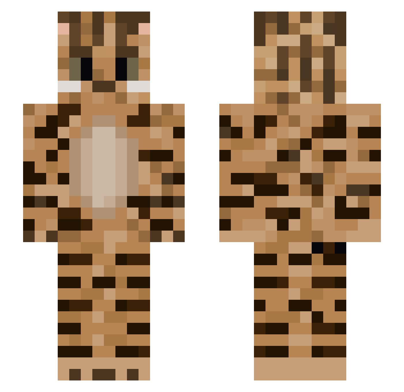 RVRL0l Minecraft skin, front and back view