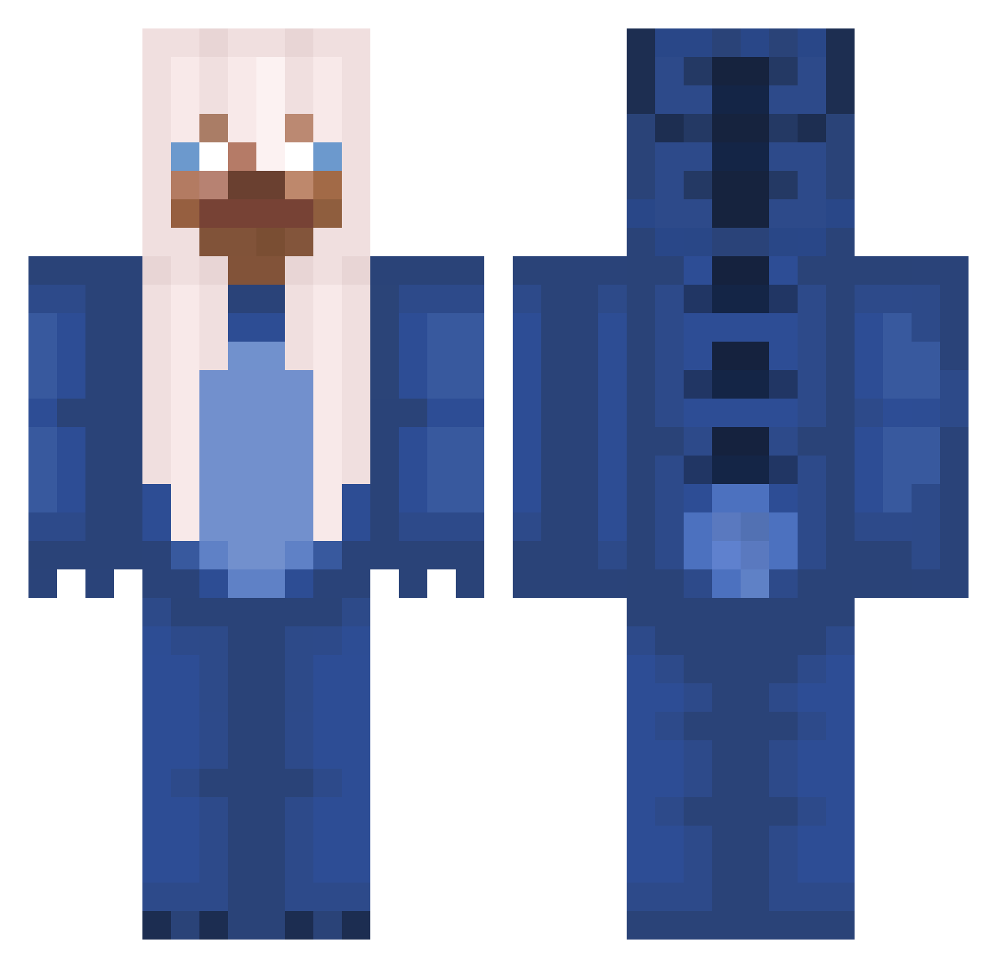 McTS2008 Minecraft skin, front and back view