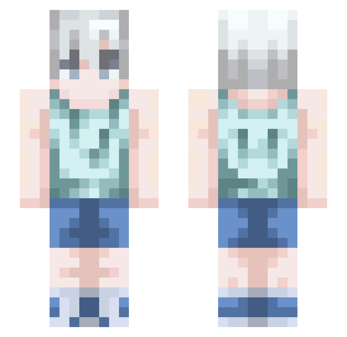 TEVL Minecraft skin, front and back view