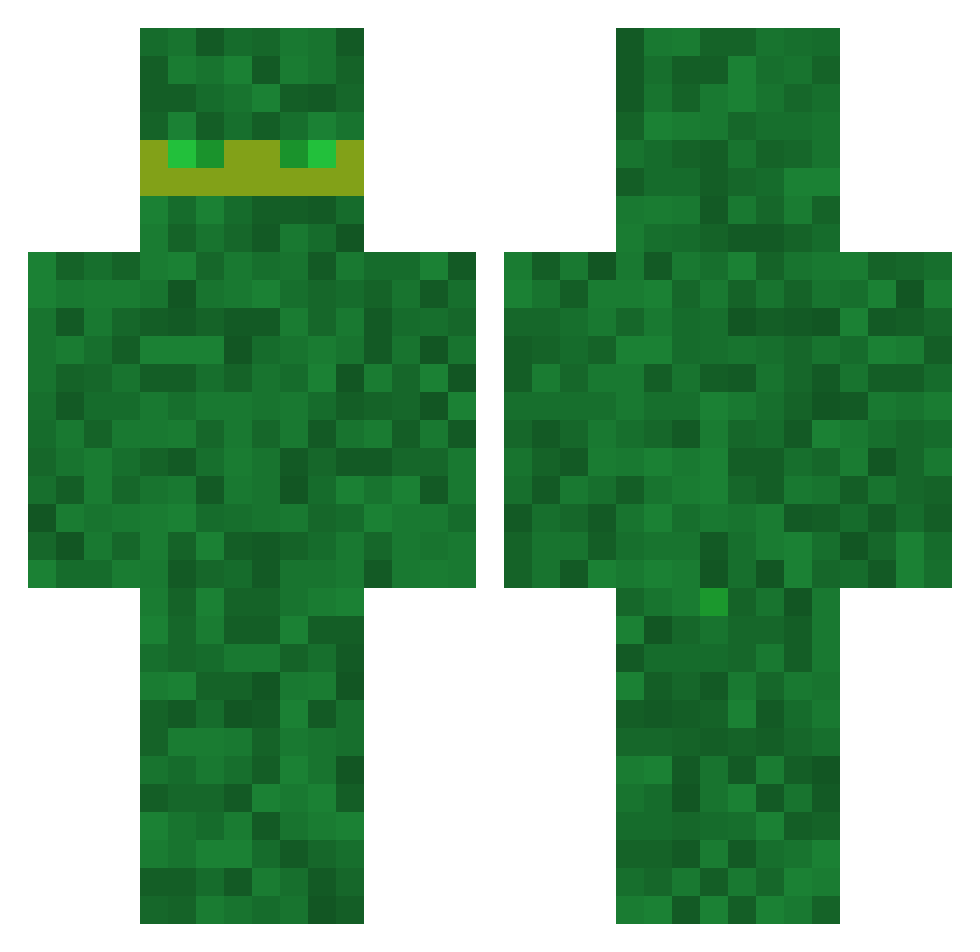 CamelitrO Minecraft skin, front and back view