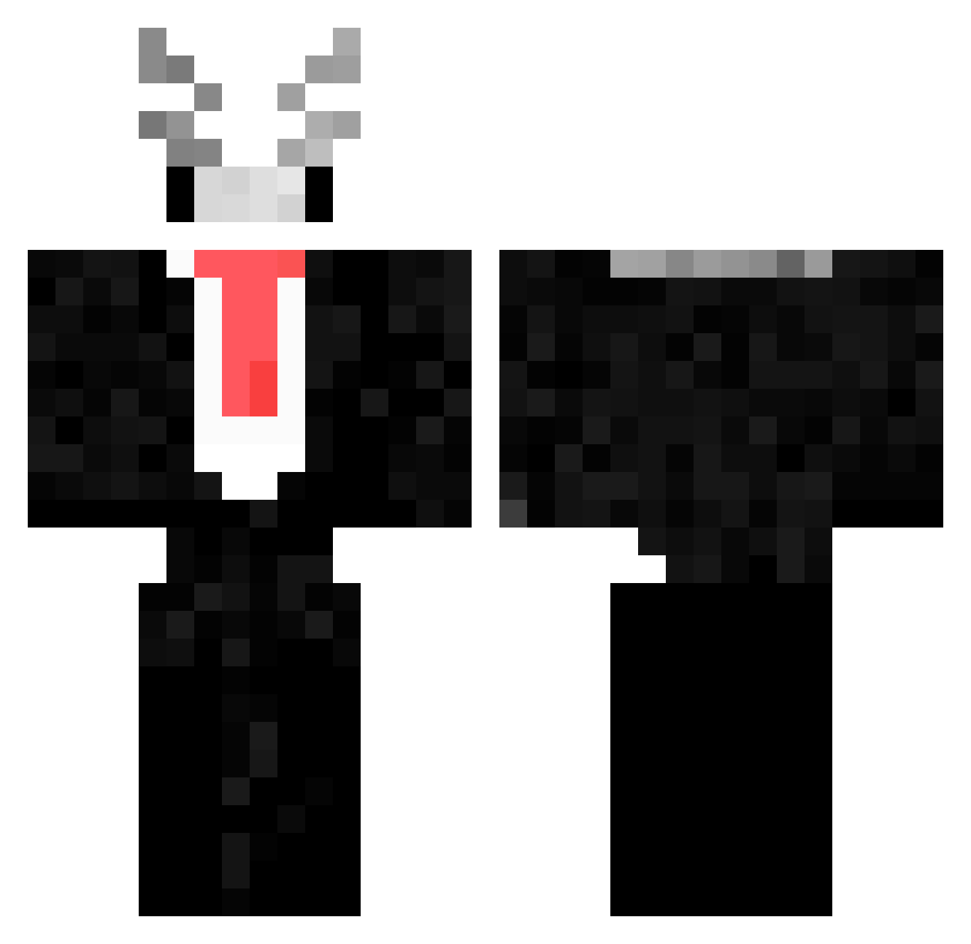 TarSquid Minecraft skin, front and back view