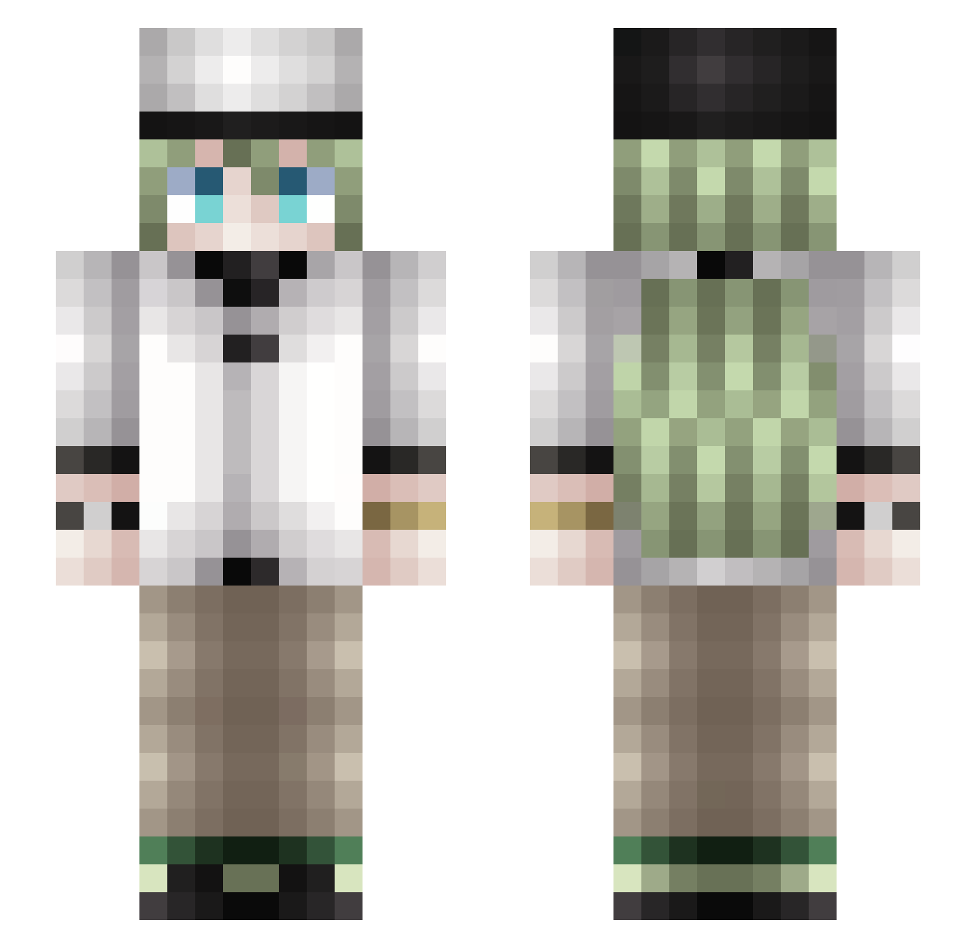 reiouxen Minecraft skin, front and back view
